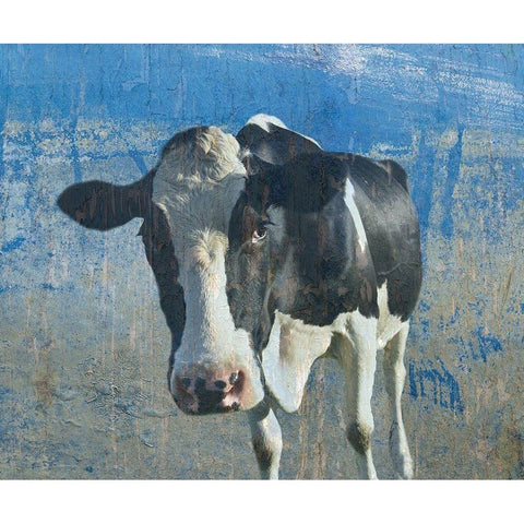 The Cow 2 Black Modern Wood Framed Art Print with Double Matting by Phillip, Jamie