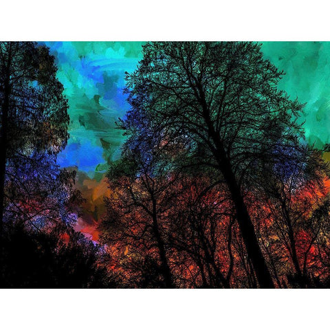 Trees Gold Ornate Wood Framed Art Print with Double Matting by Phillip, Jamie