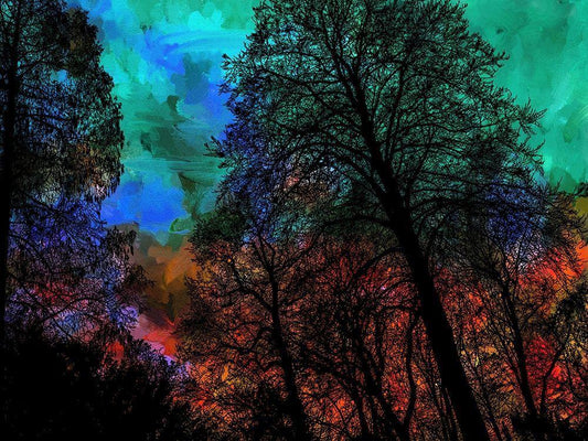 Image Only