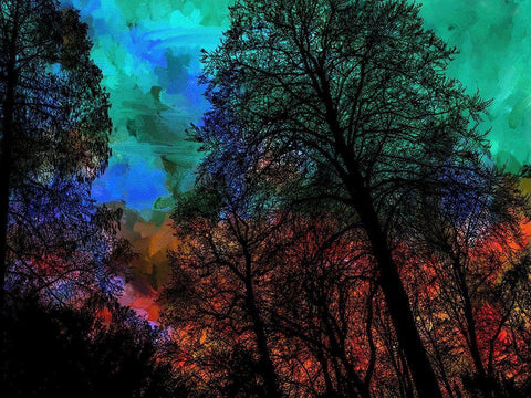 Trees Black Ornate Wood Framed Art Print with Double Matting by Phillip, Jamie