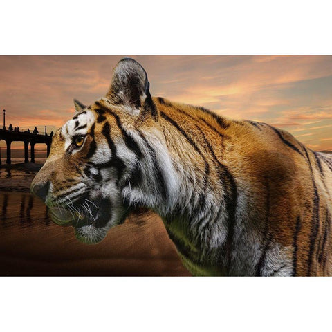 Tiger Bay Gold Ornate Wood Framed Art Print with Double Matting by Phillip, Jamie