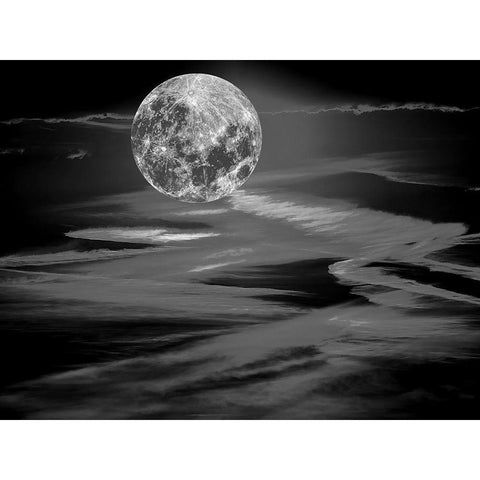 Black Moonlight Black Modern Wood Framed Art Print with Double Matting by Phillip, Jamie