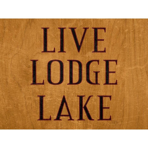 Lodge 2 Black Modern Wood Framed Art Print with Double Matting by Phillip, Jamie