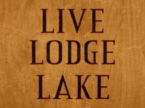 Lodge 2 Black Ornate Wood Framed Art Print with Double Matting by Phillip, Jamie