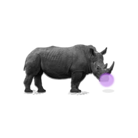 Rhino Bubble White Modern Wood Framed Art Print by Phillip, Jamie