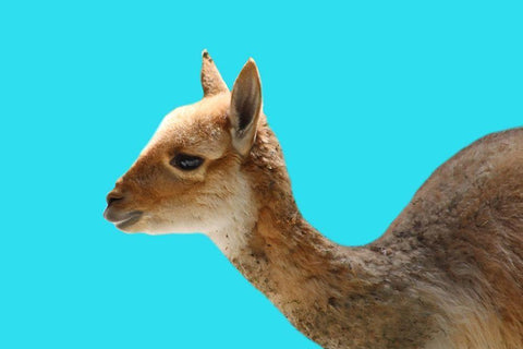 Hello White Modern Wood Framed Art Print with Double Matting by Phillip, Jamie