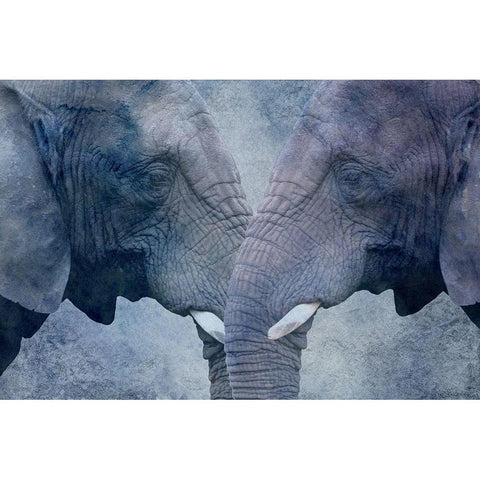 Elephant Love Black Modern Wood Framed Art Print with Double Matting by Phillip, Jamie