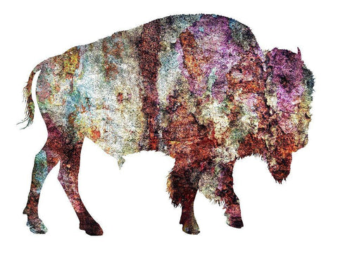 Rustic Bison White Modern Wood Framed Art Print with Double Matting by Phillip, Jamie