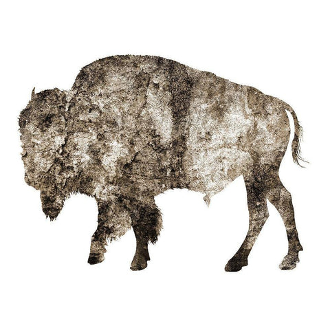 Rustic Bison 2 White Modern Wood Framed Art Print by Phillip, Jamie