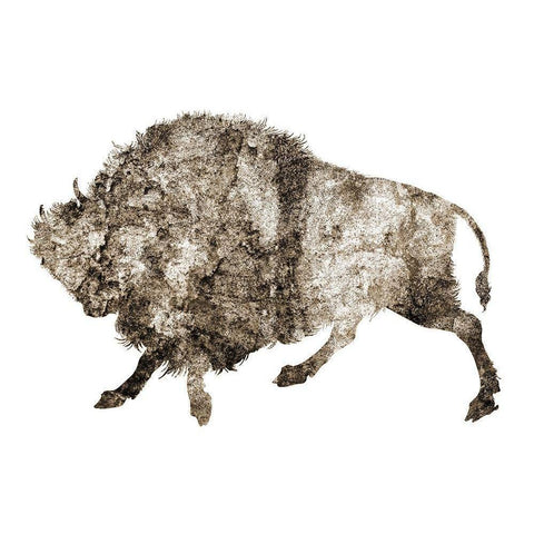 Rustic Bison 3 White Modern Wood Framed Art Print by Phillip, Jamie