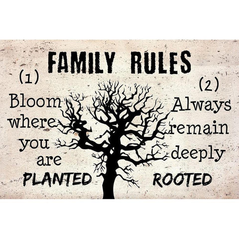 Family Rules White Modern Wood Framed Art Print by Phillip, Jamie