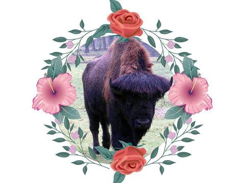 Buffalo Love White Modern Wood Framed Art Print with Double Matting by Phillip, Jamie