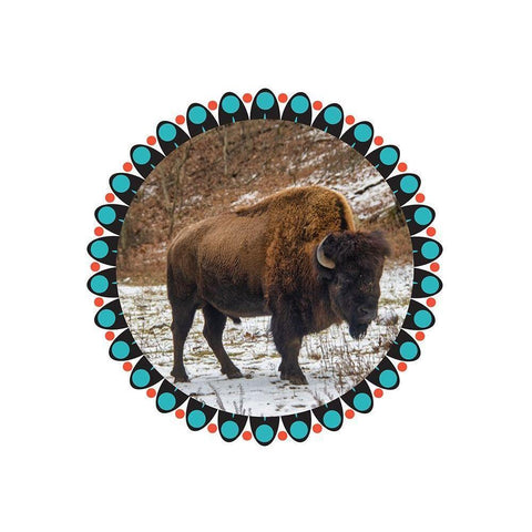 Buffalo Love 2 White Modern Wood Framed Art Print by Phillip, Jamie