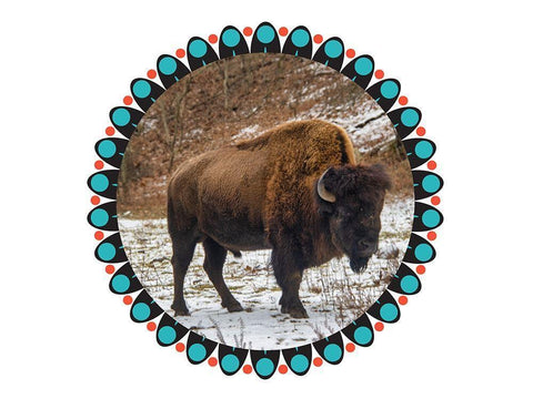 Buffalo Love 2 Black Ornate Wood Framed Art Print with Double Matting by Phillip, Jamie