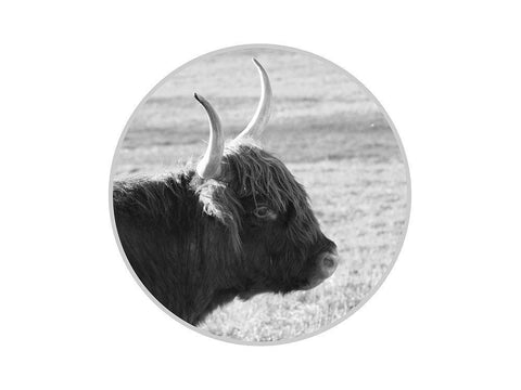 Farm Animal White Modern Wood Framed Art Print with Double Matting by Phillip, Jamie