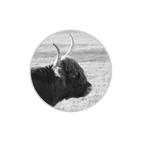 Farm Animal White Modern Wood Framed Art Print by Phillip, Jamie