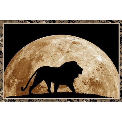 Lion Black Modern Wood Framed Art Print with Double Matting by Phillip, Jamie