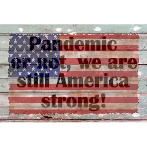 America Strong White Modern Wood Framed Art Print by Phillip, Jamie