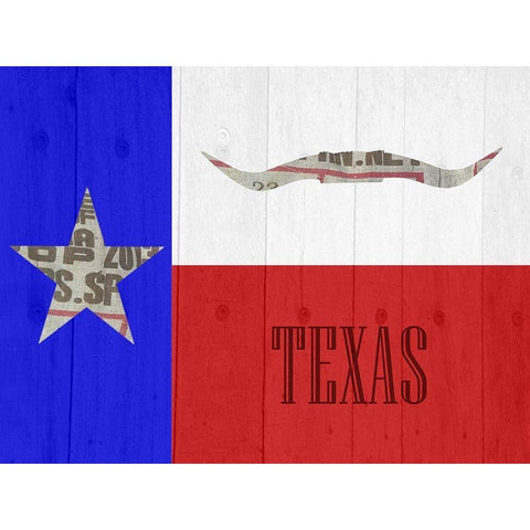 Texas 2 Black Modern Wood Framed Art Print with Double Matting by Phillip, Jamie