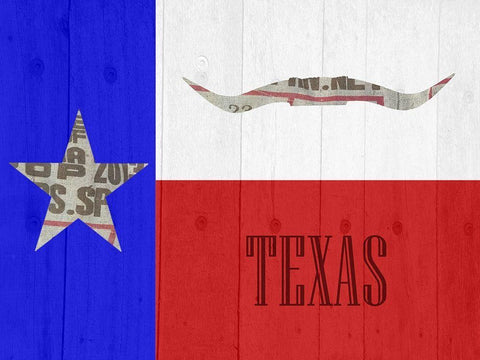 Texas 2 White Modern Wood Framed Art Print with Double Matting by Phillip, Jamie