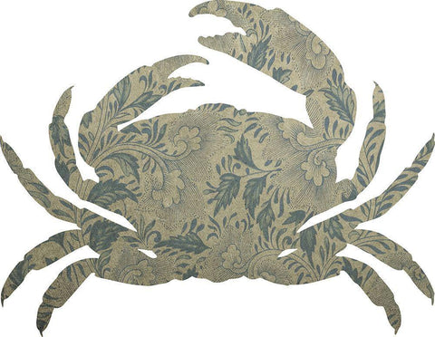 Sea Crab White Modern Wood Framed Art Print with Double Matting by Phillip, Jamie