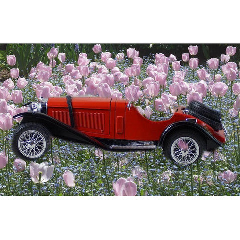 Flower Car White Modern Wood Framed Art Print by Phillip, Jamie