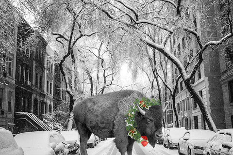 Buffalo Christmas White Modern Wood Framed Art Print with Double Matting by Phillip, Jamie