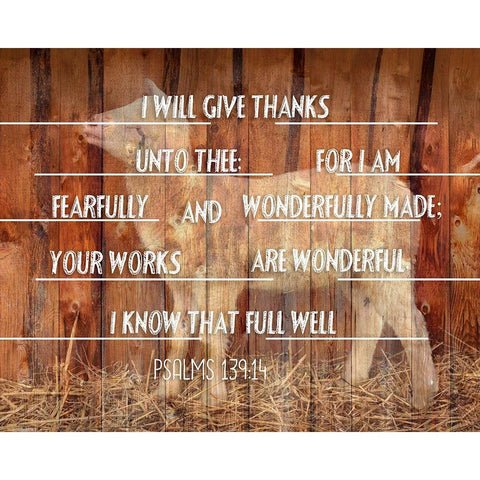 King David Psalm White Modern Wood Framed Art Print by Phillip, Jamie