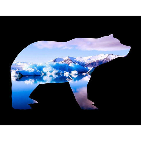 Polar Bear Black Modern Wood Framed Art Print with Double Matting by Phillip, Jamie