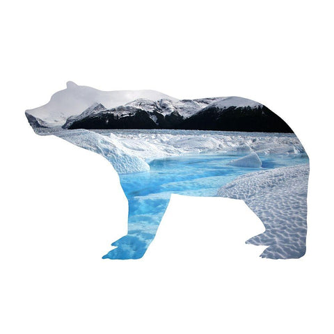 Polar Bear 2 White Modern Wood Framed Art Print by Phillip, Jamie