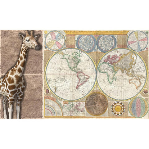 African Map White Modern Wood Framed Art Print by Phillip, Jamie