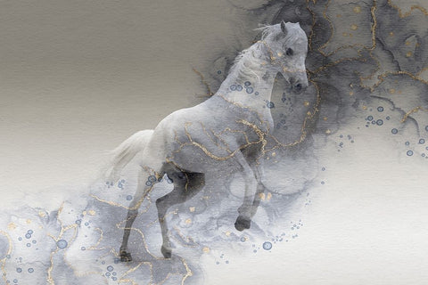 Mystic Horse White Modern Wood Framed Art Print with Double Matting by Phillip, Jamie