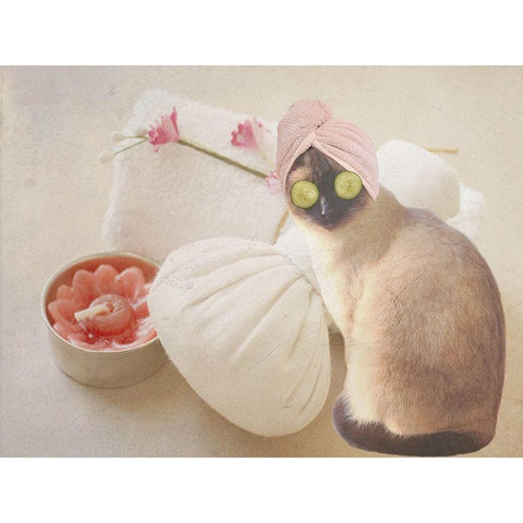 Members Only Cat Spa Black Modern Wood Framed Art Print with Double Matting by Phillip, Jamie