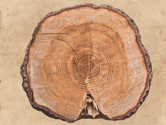 Image Only