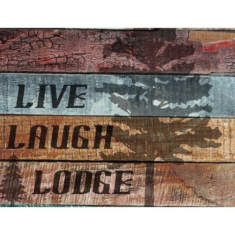 Lodge Black Modern Wood Framed Art Print with Double Matting by Phillip, Jamie