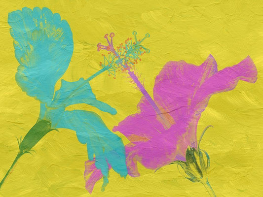 Image Only