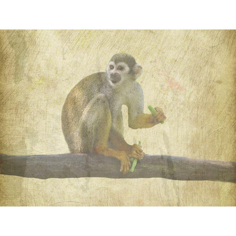 Monkey Around Gold Ornate Wood Framed Art Print with Double Matting by Phillip, Jamie