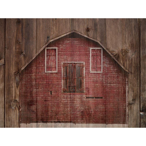 Back At The Barn Yard White Modern Wood Framed Art Print by Phillip, Jamie