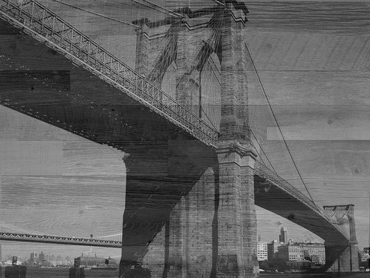 Image Only