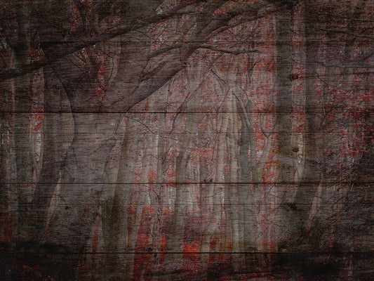 Image Only