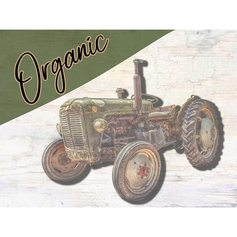 Organic Farm White Modern Wood Framed Art Print by Phillip, Jamie