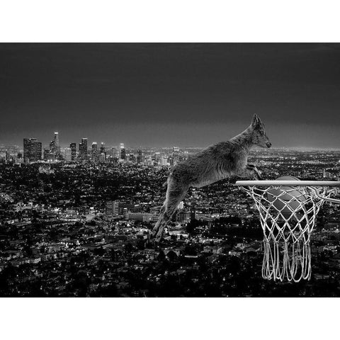 The Goat White Modern Wood Framed Art Print by Phillip, Jamie