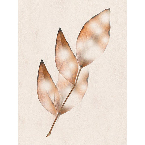 Brown Fall White Modern Wood Framed Art Print by Phillip, Jamie