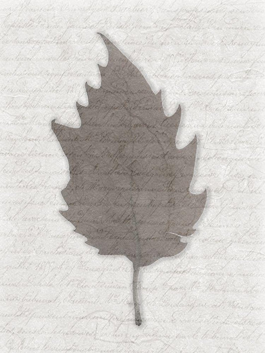 Image Only