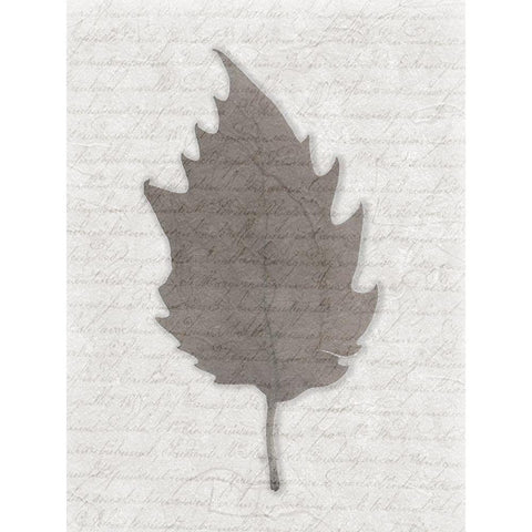 Leafted up 2 White Modern Wood Framed Art Print by Phillip, Jamie