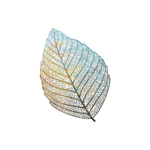 Beleaf 2 White Modern Wood Framed Art Print by Phillip, Jamie