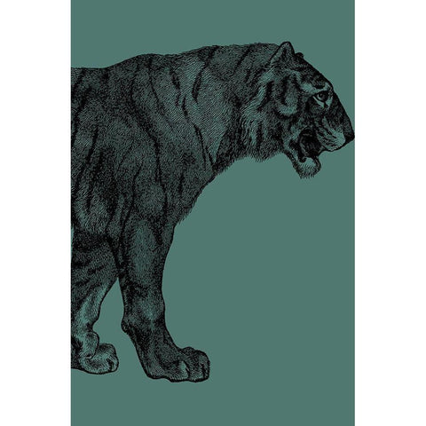 Big Cat 2 Black Modern Wood Framed Art Print with Double Matting by Phillip, Jamie