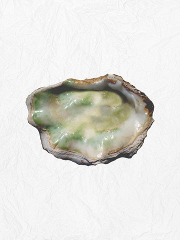 Oyster Shell 2 Black Ornate Wood Framed Art Print with Double Matting by Phillip, Jamie