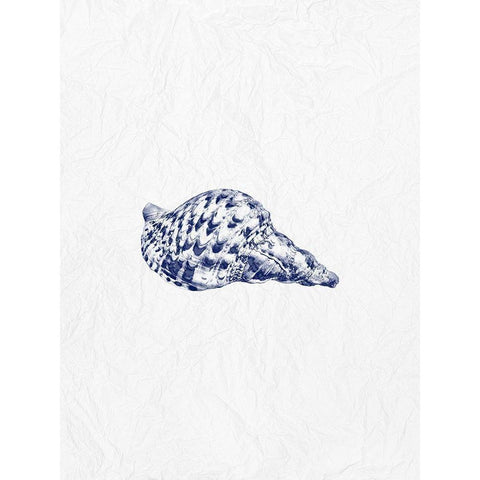 Indigo Shell 1 White Modern Wood Framed Art Print by Phillip, Jamie