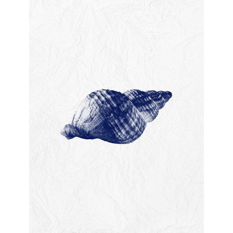 Indigo Shell 2 White Modern Wood Framed Art Print by Phillip, Jamie